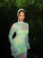 European And American Style Printed Mesh Women's Dress Waist Cinched Slim Fit Bodycon Dress High Neck Fashion Long Sleeve Elegant Long Dress - Image 2